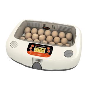 инкубатор для яиц
